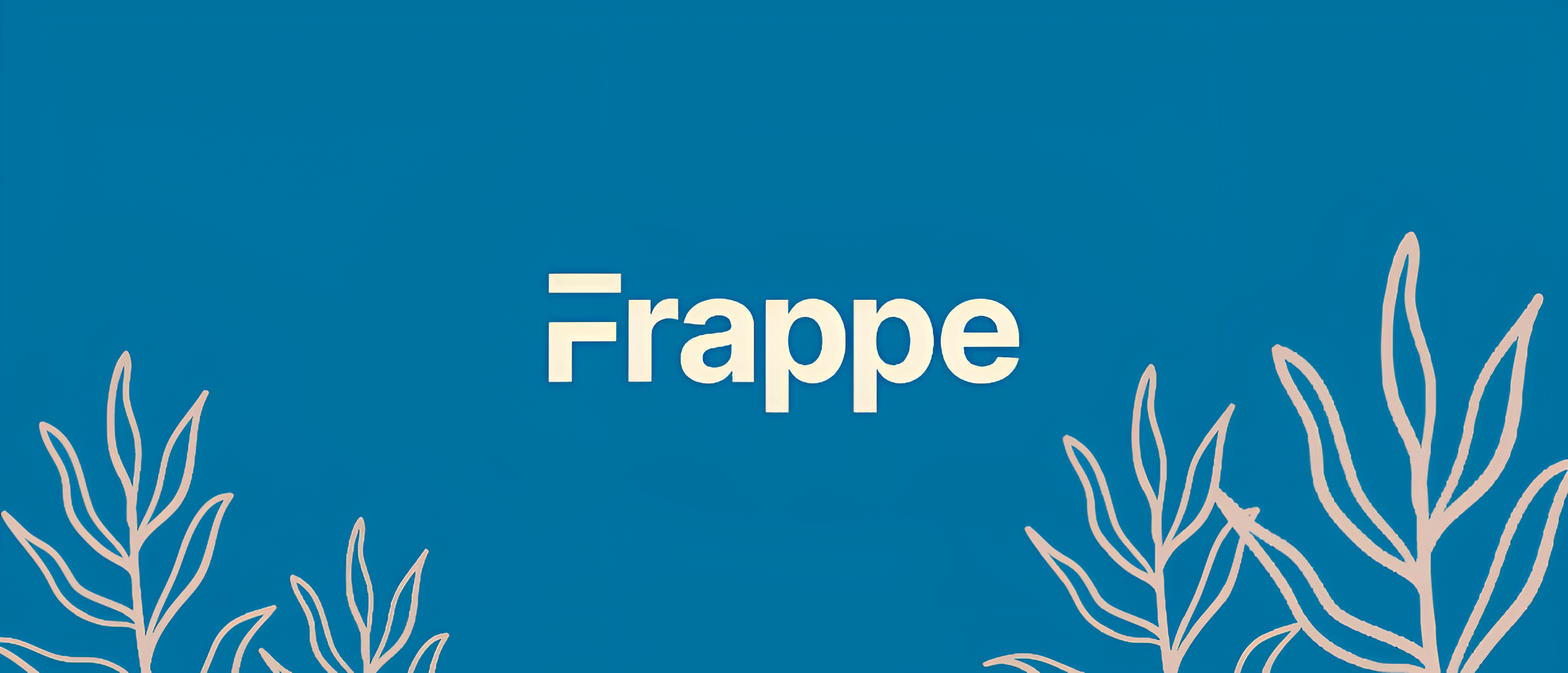 How does the Frappe Framework work?